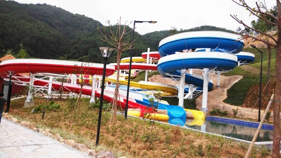 ποιότητας  Funny FPR Water Slide Games Double Open And Close Cool Water Slides for Water Park Εργοστάσιο
