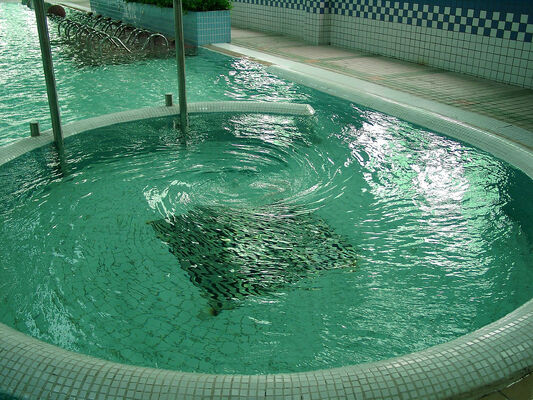 Corrosion-resistant SPA Hydrotherapy Equipment with Hot-dip Galvanized Steel Structure and Intelligent Control System